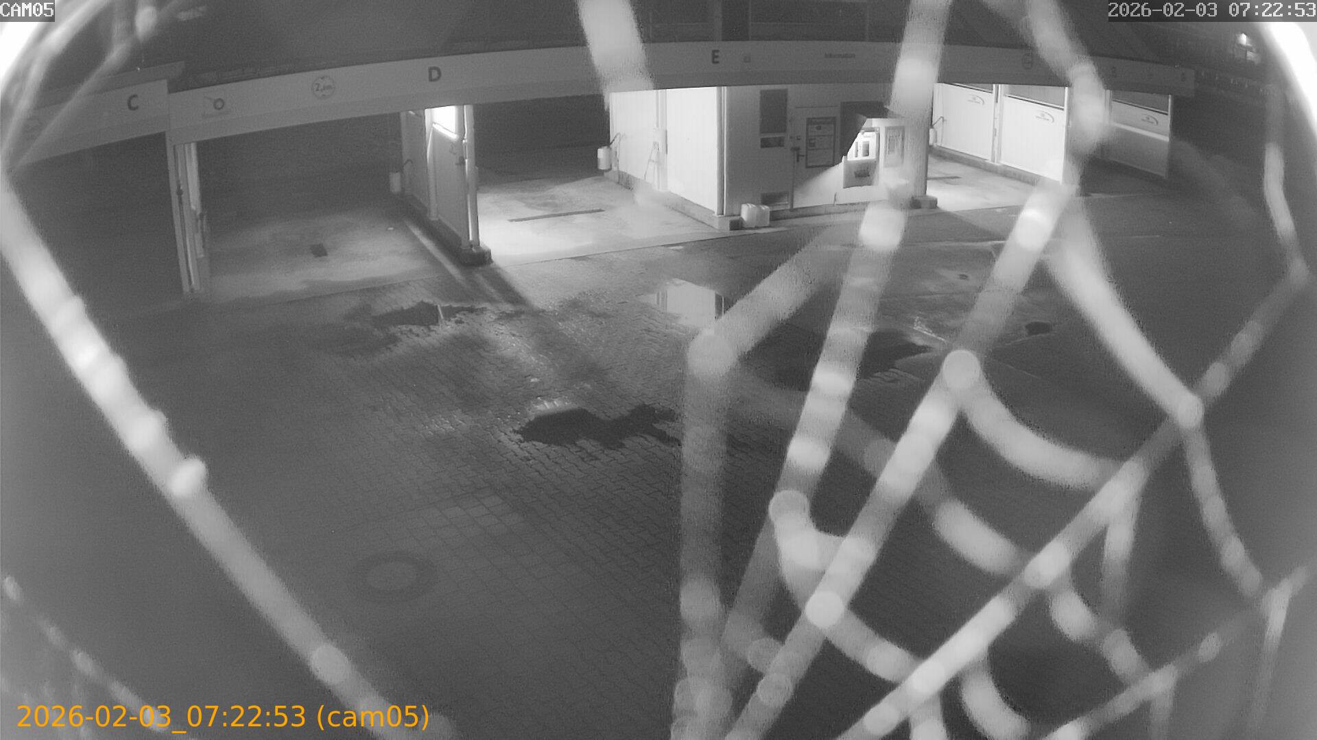 thumbnail_20260203072253