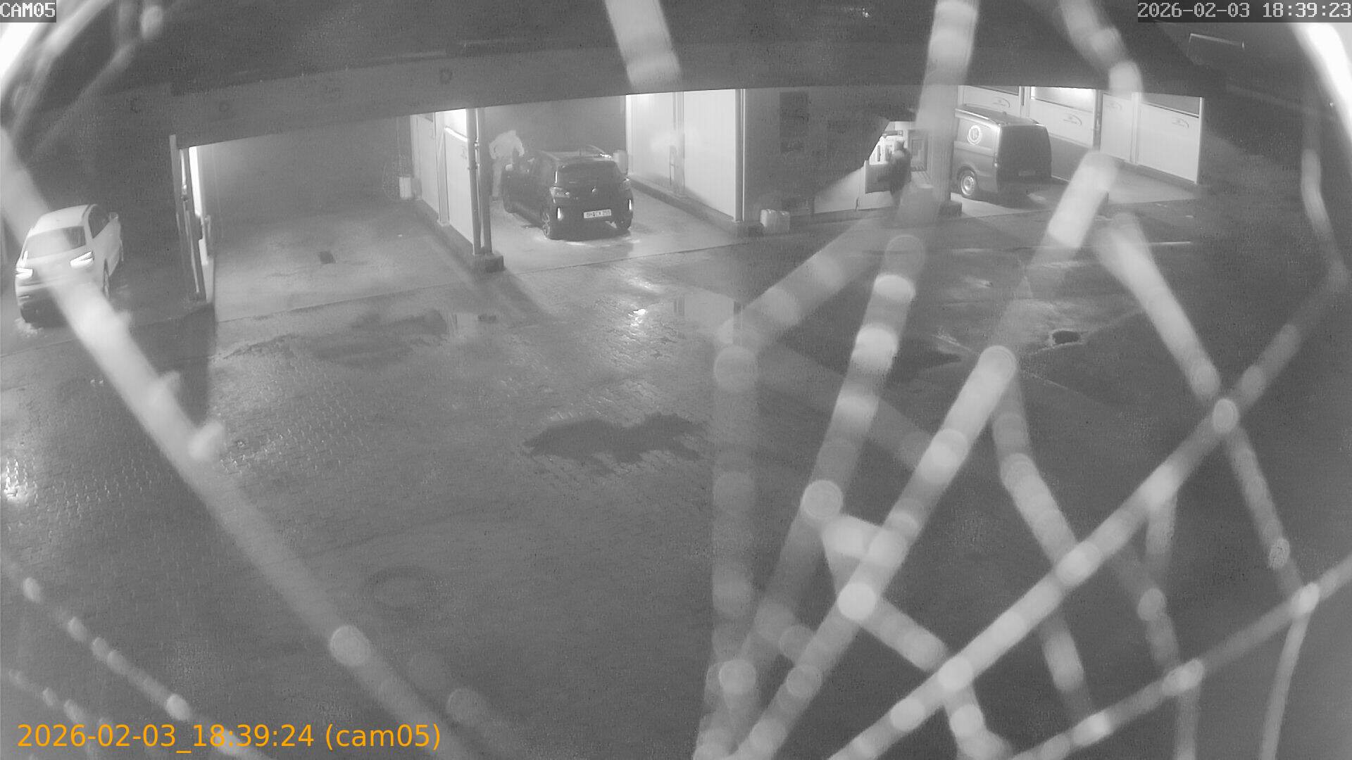 thumbnail_20260203183924