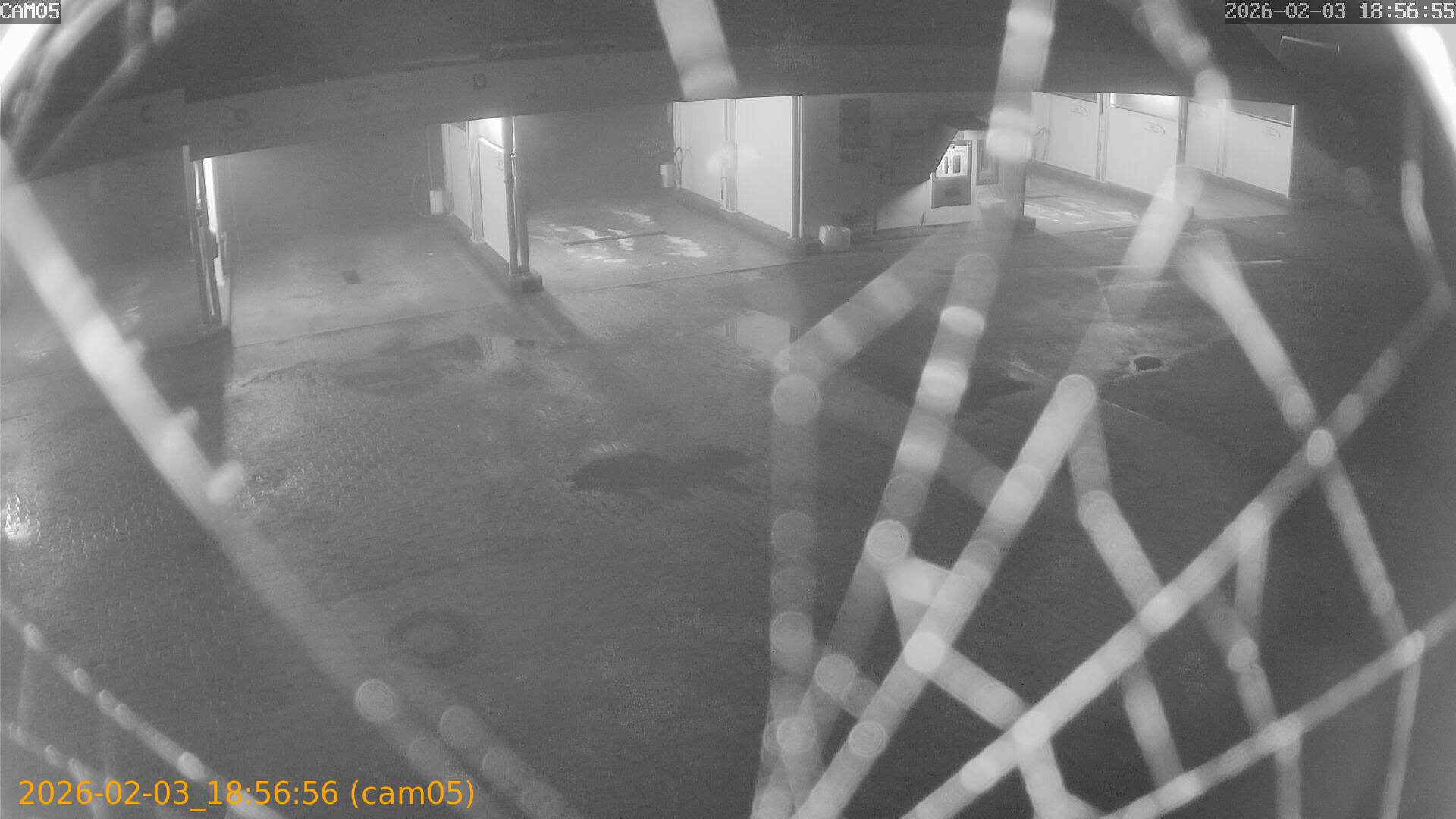 thumbnail_20260203185656