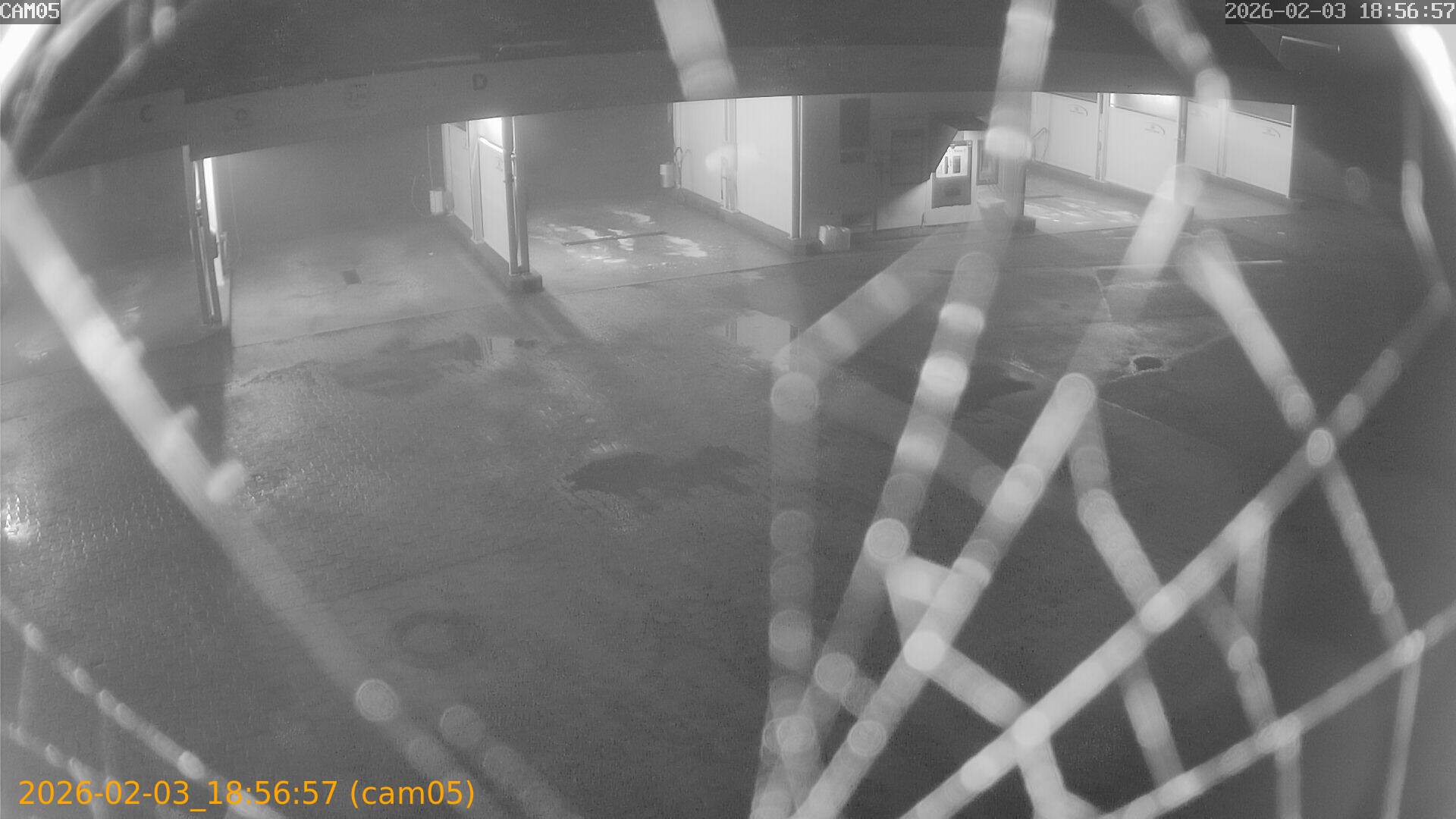 thumbnail_20260203185657