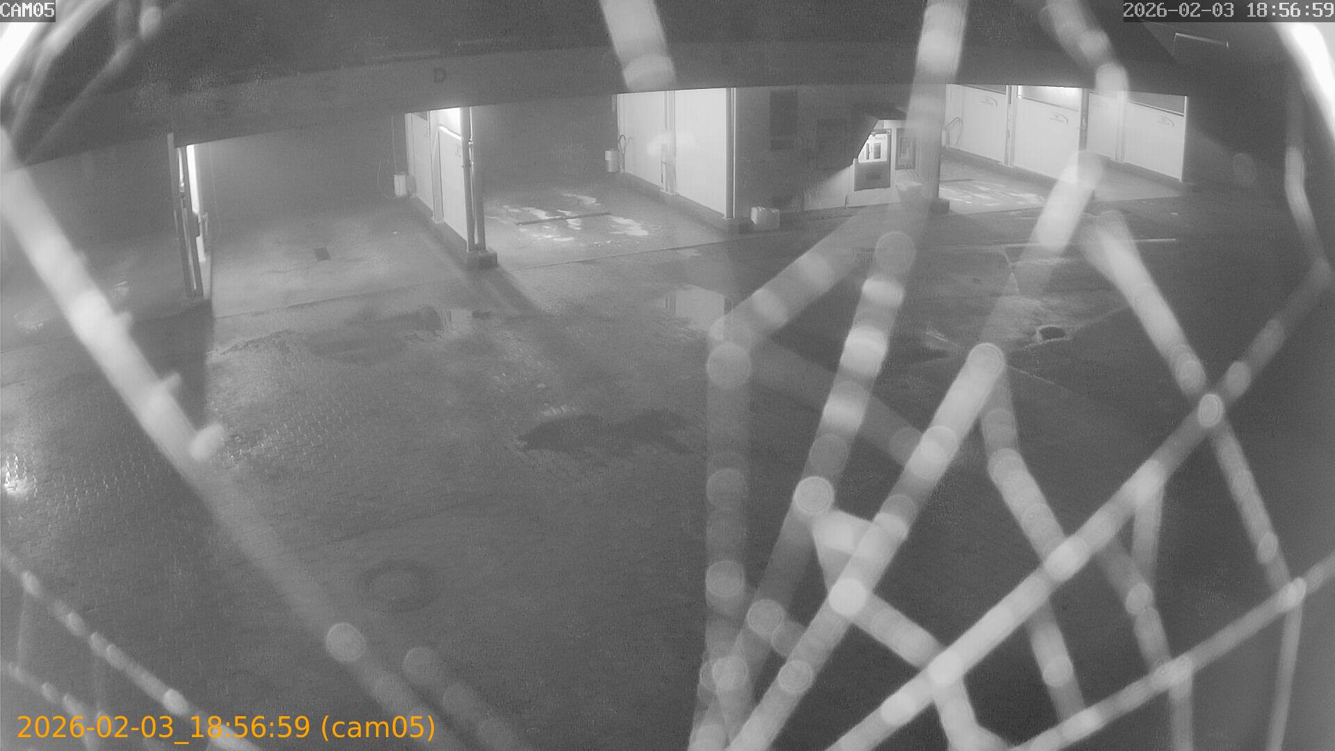 thumbnail_202602031856