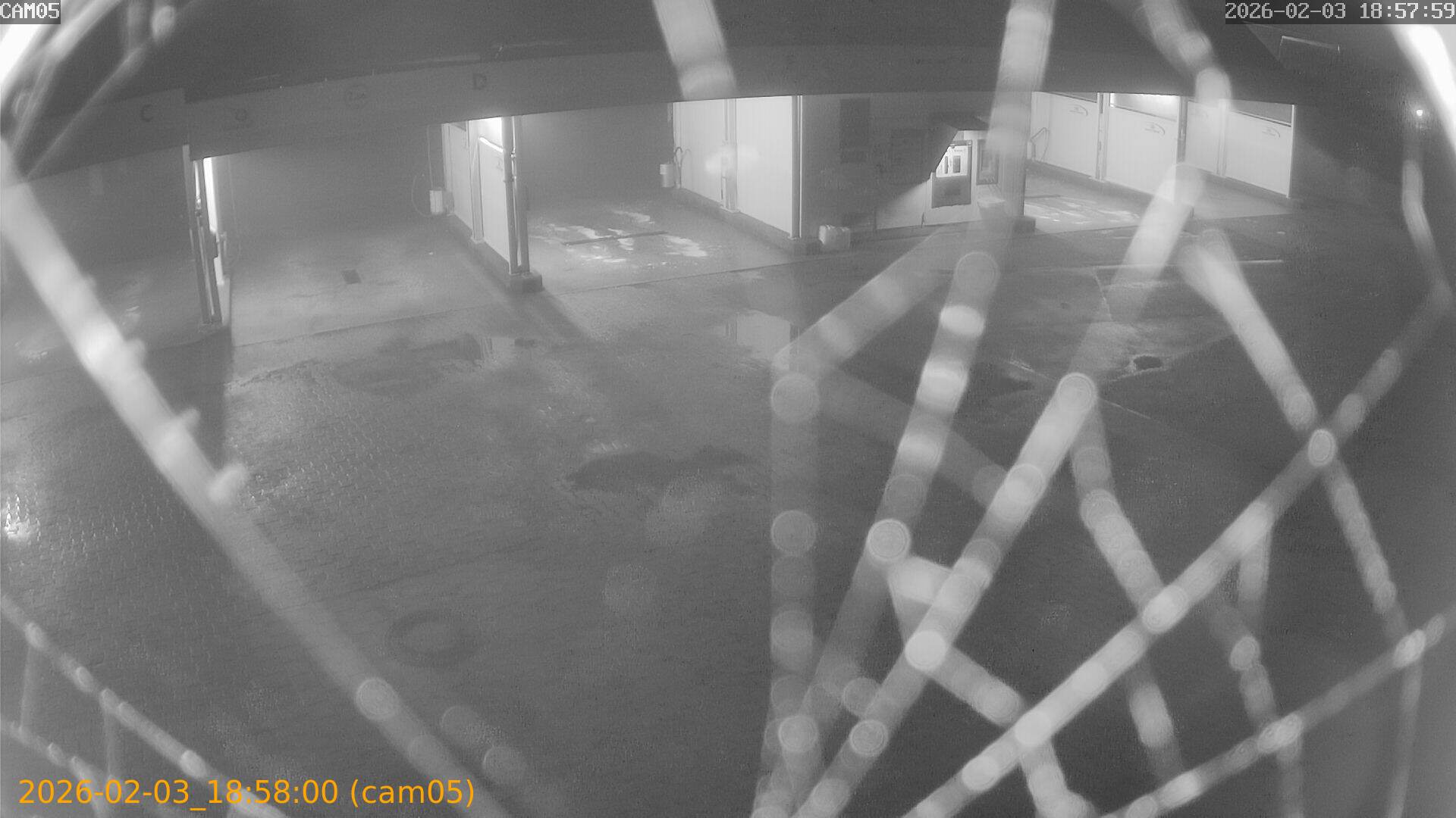 thumbnail_202602031857