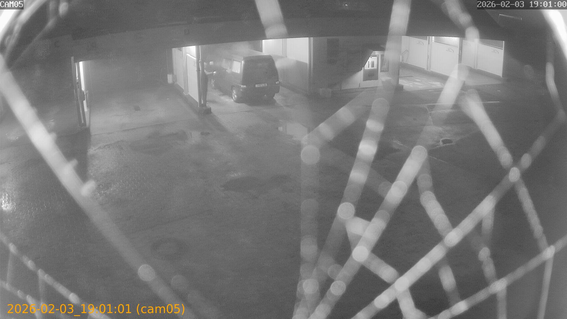 thumbnail_20260203190101