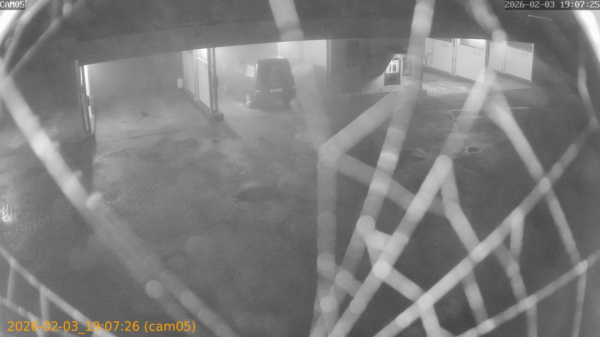 thumbnail_20260203190726