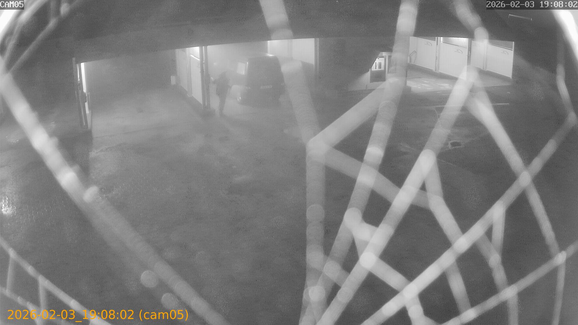 thumbnail_20260203190802