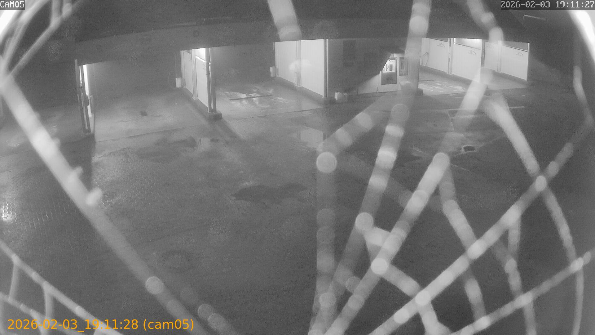 thumbnail_20260203191128