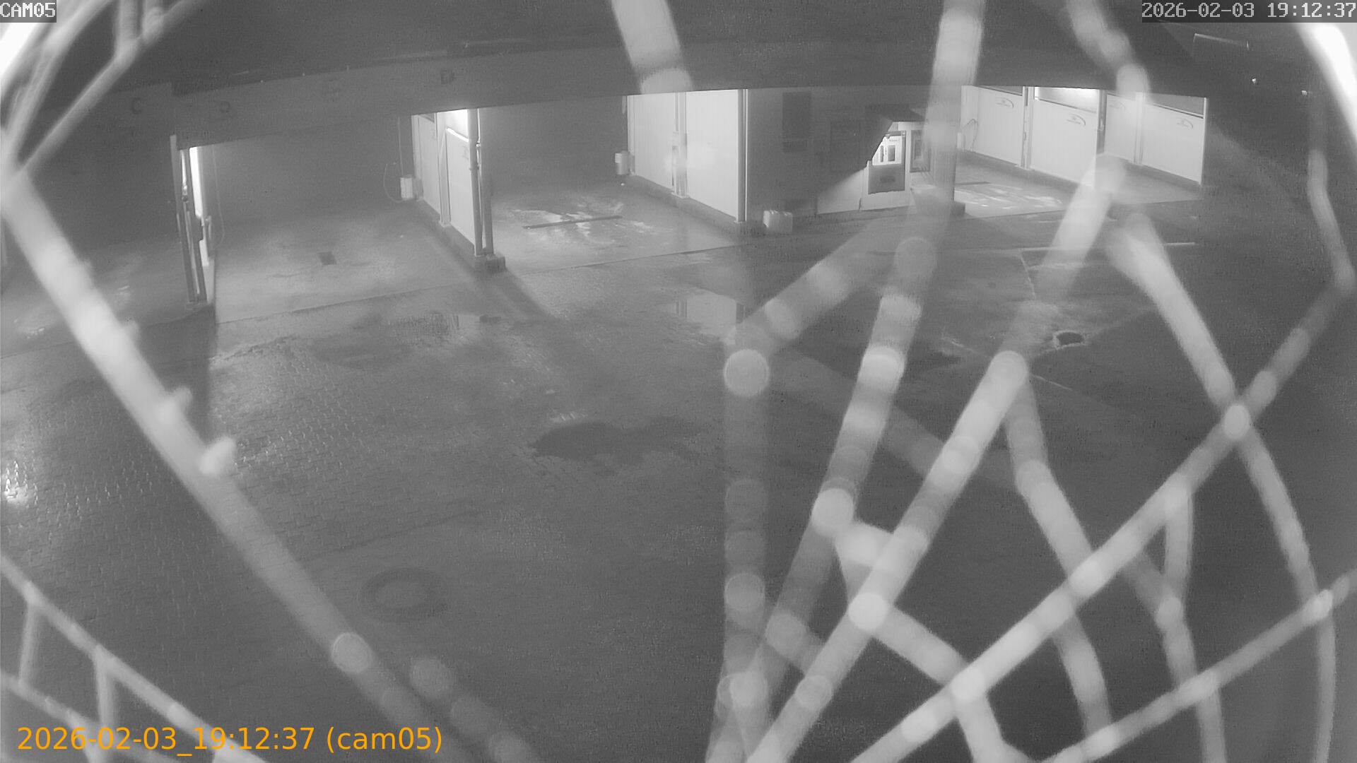 thumbnail_20260203191237