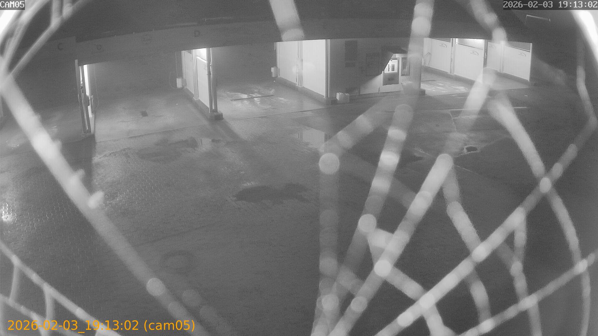 thumbnail_20260203191302