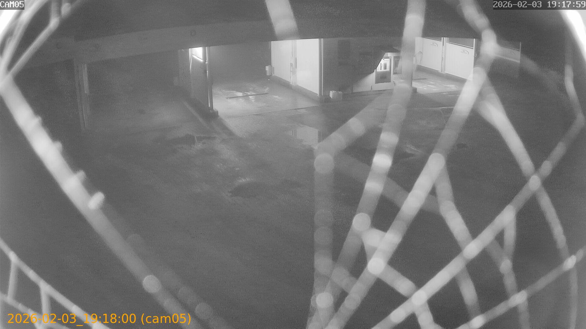 thumbnail_20260203191800