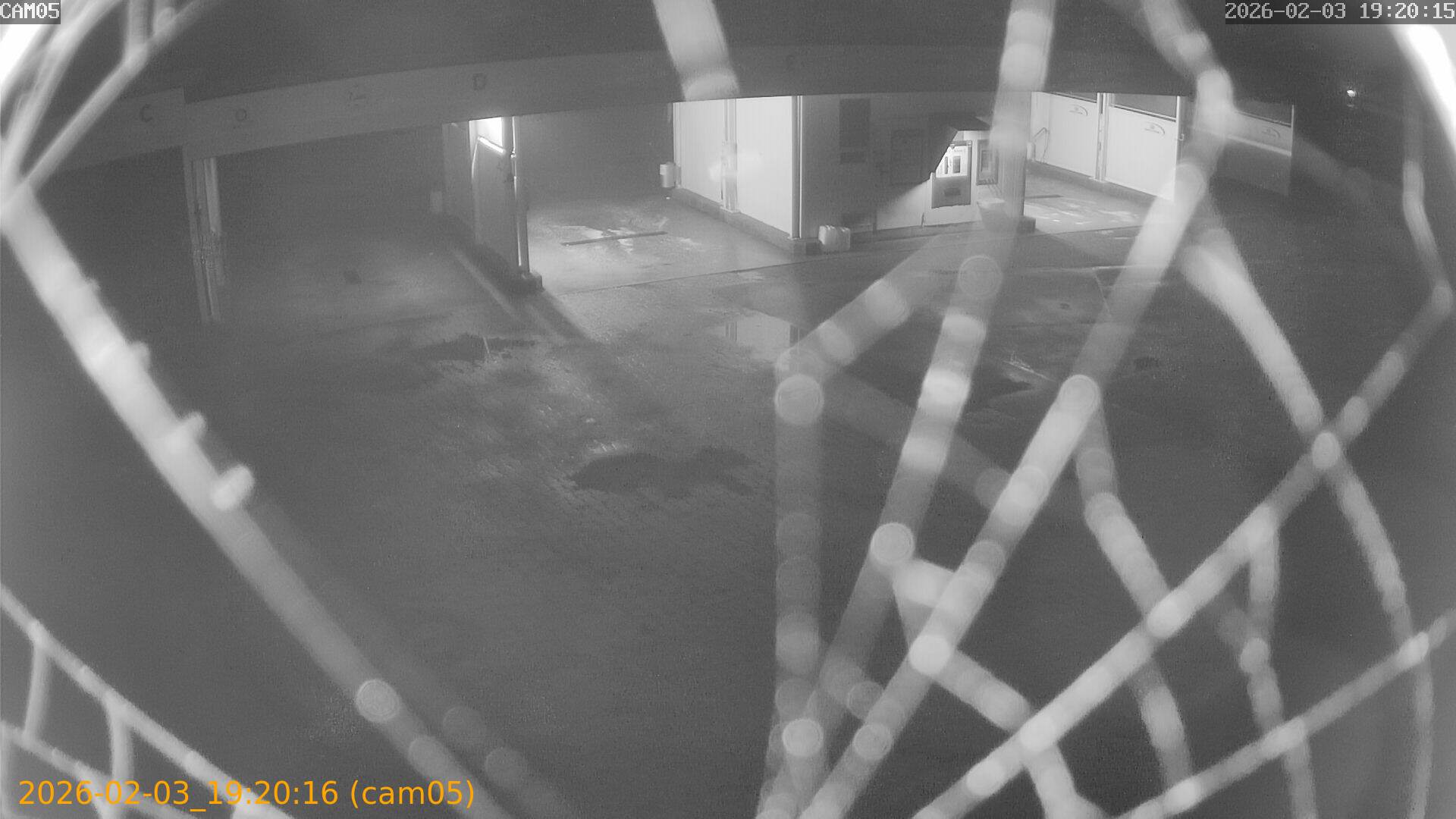 thumbnail_20260203192016