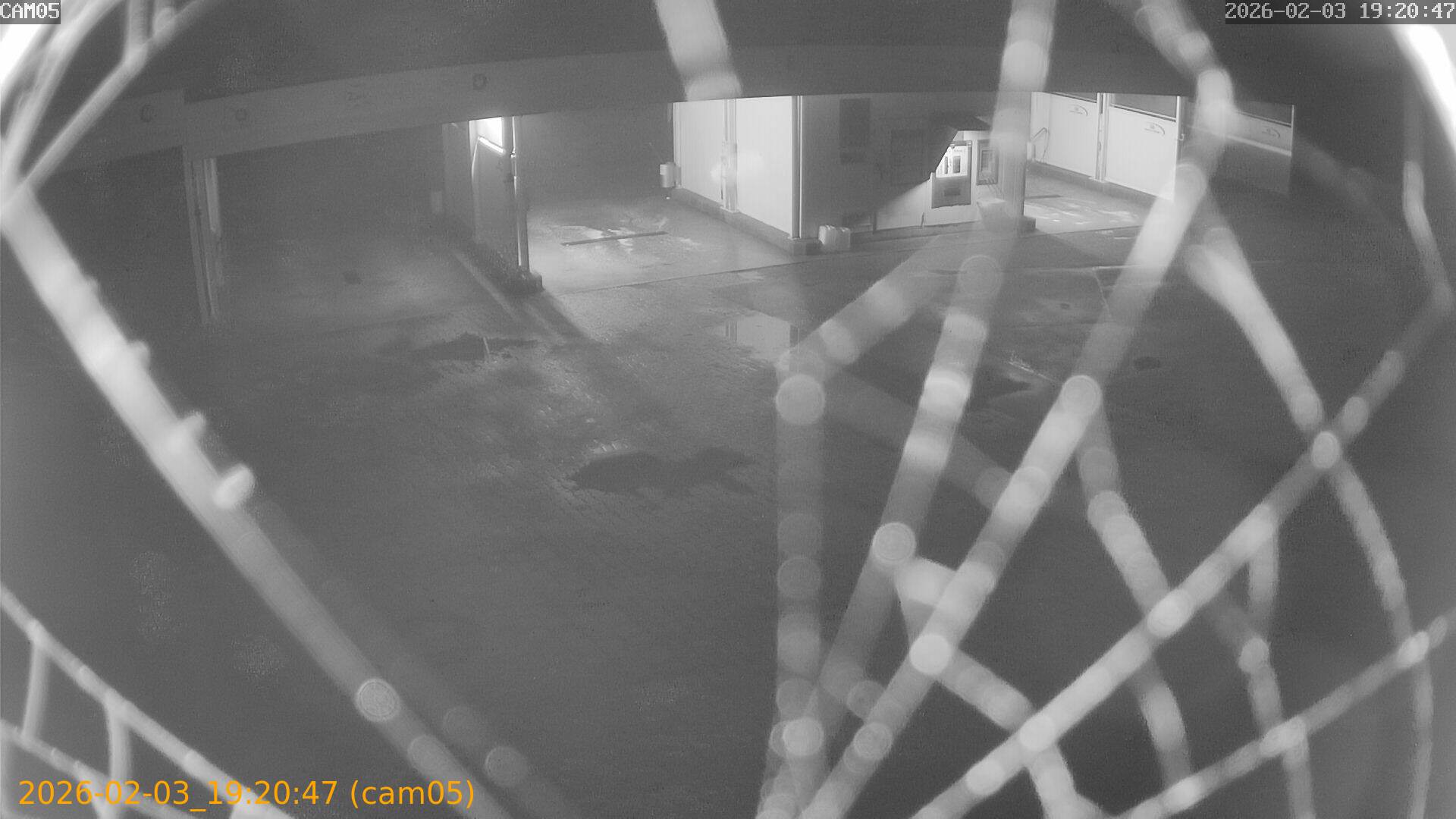 thumbnail_20260203192047