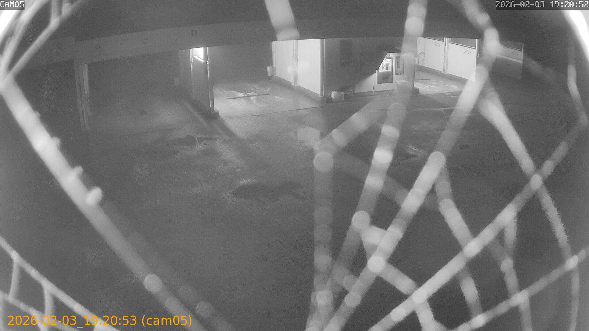 thumbnail_20260203192053