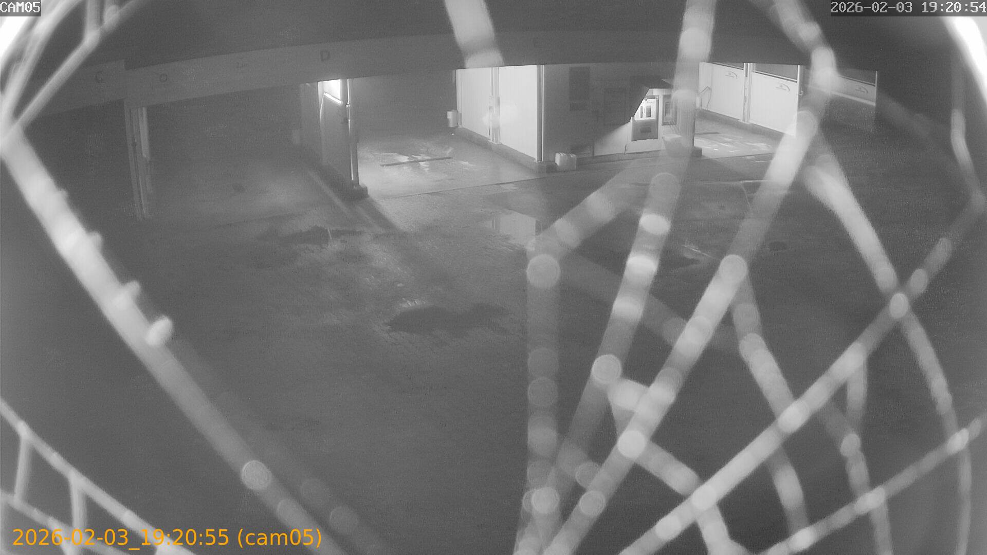 thumbnail_20260203192055