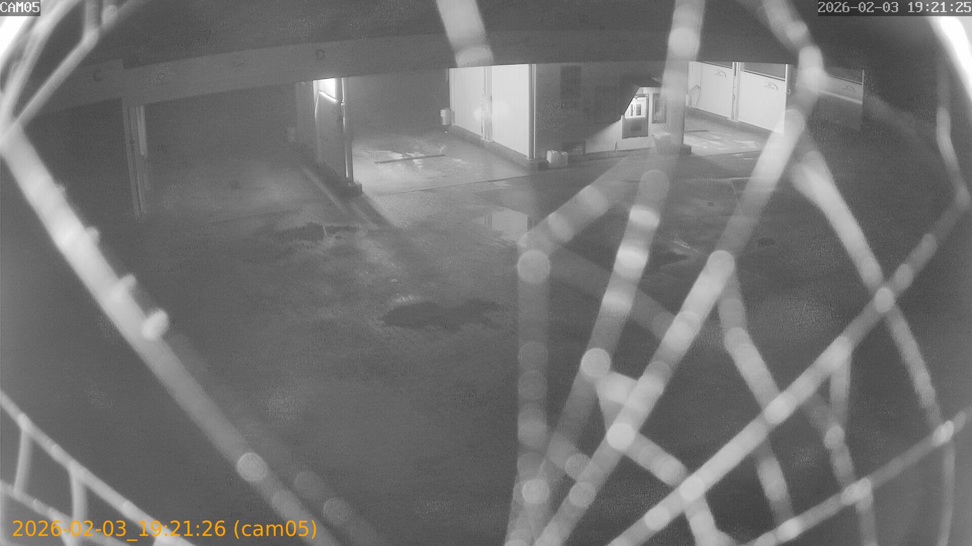 thumbnail_20260203192126