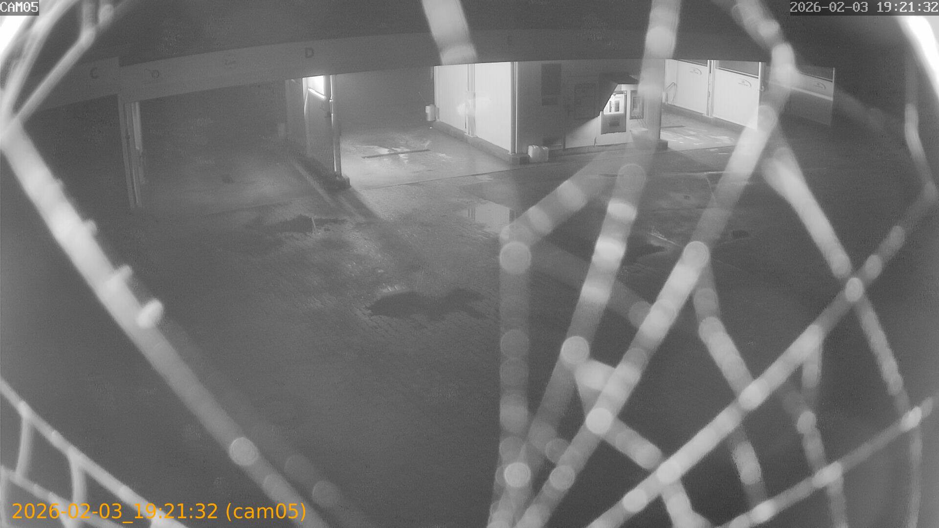 thumbnail_20260203192132