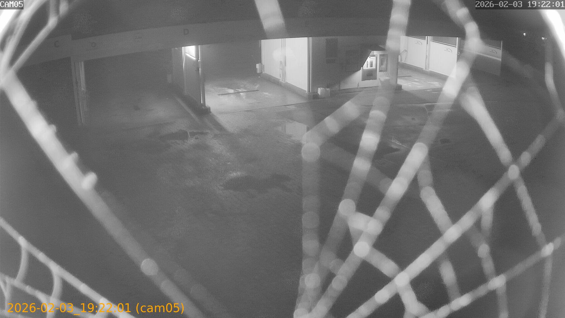 thumbnail_20260203192201