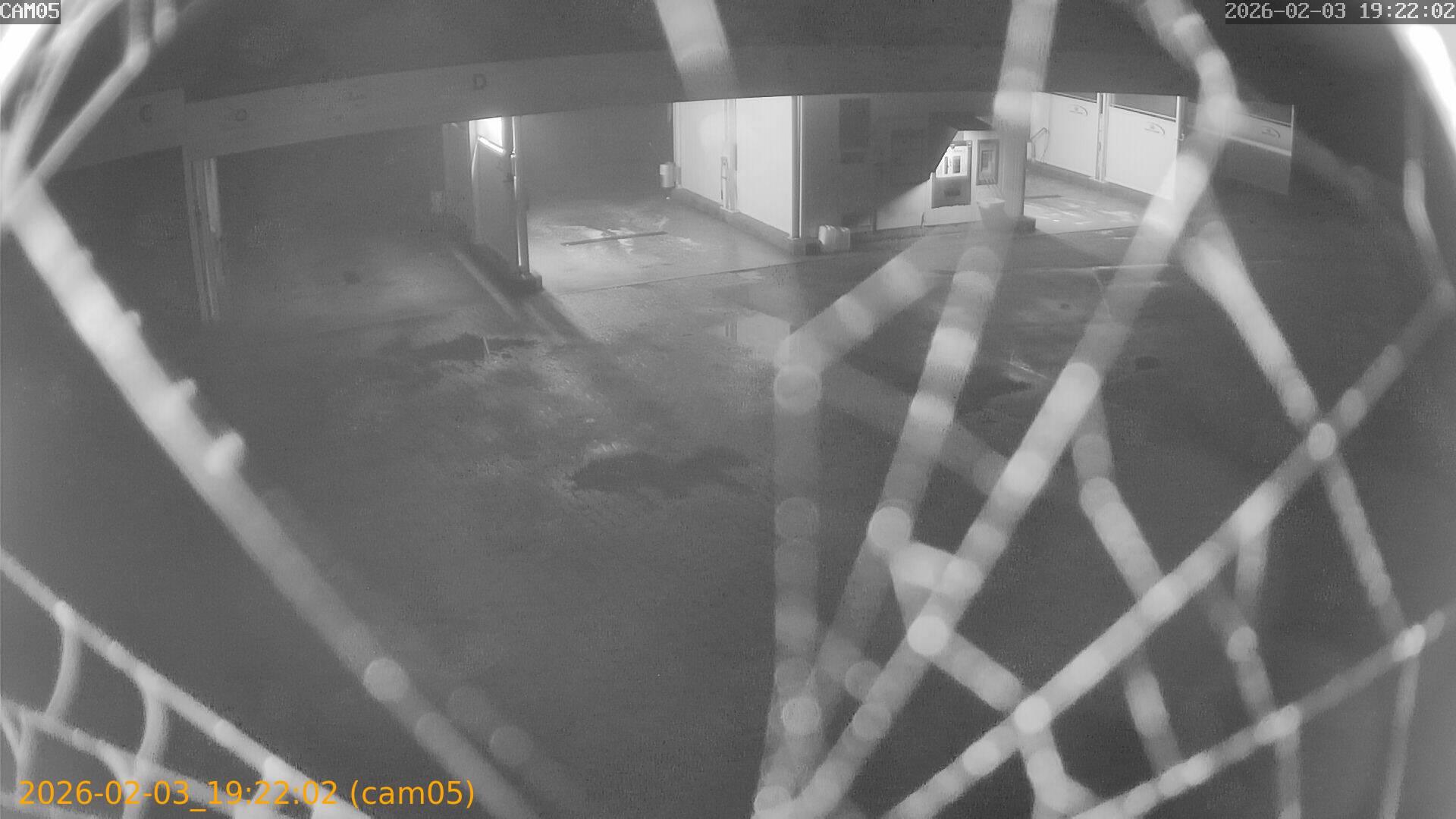 thumbnail_20260203192202