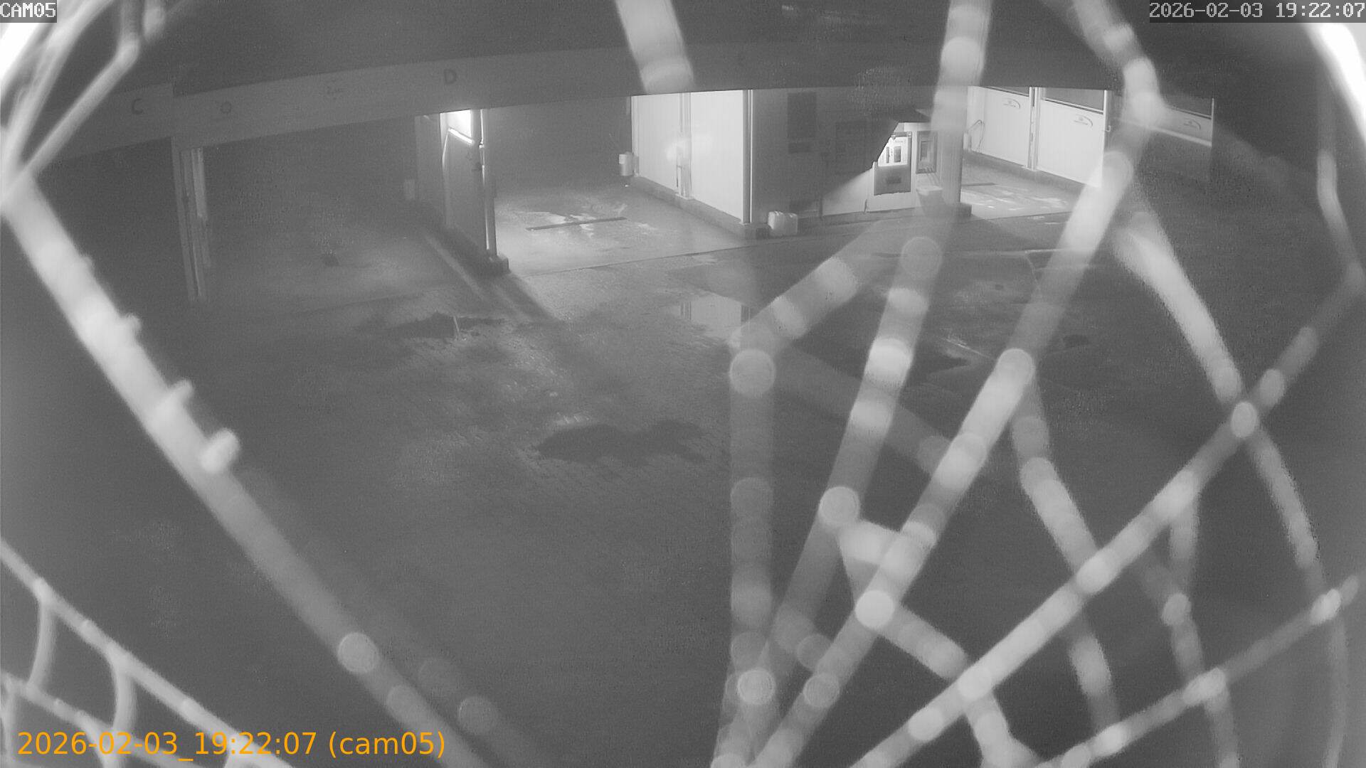 thumbnail_20260203192207