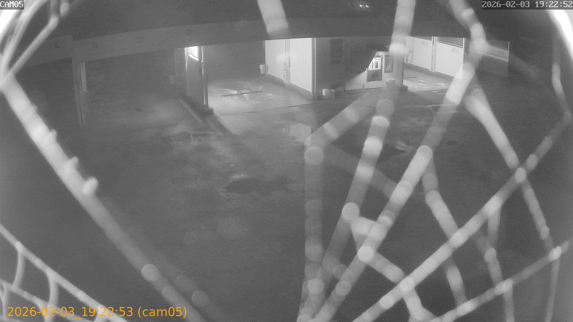 thumbnail_20260203192253