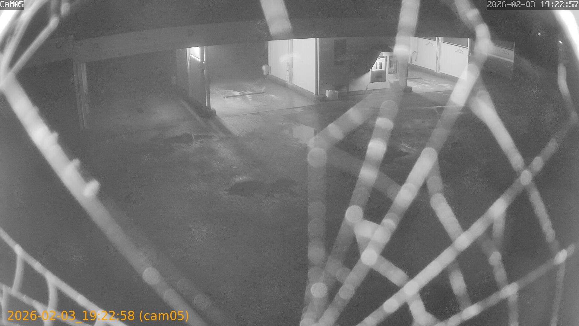 thumbnail_20260203192258