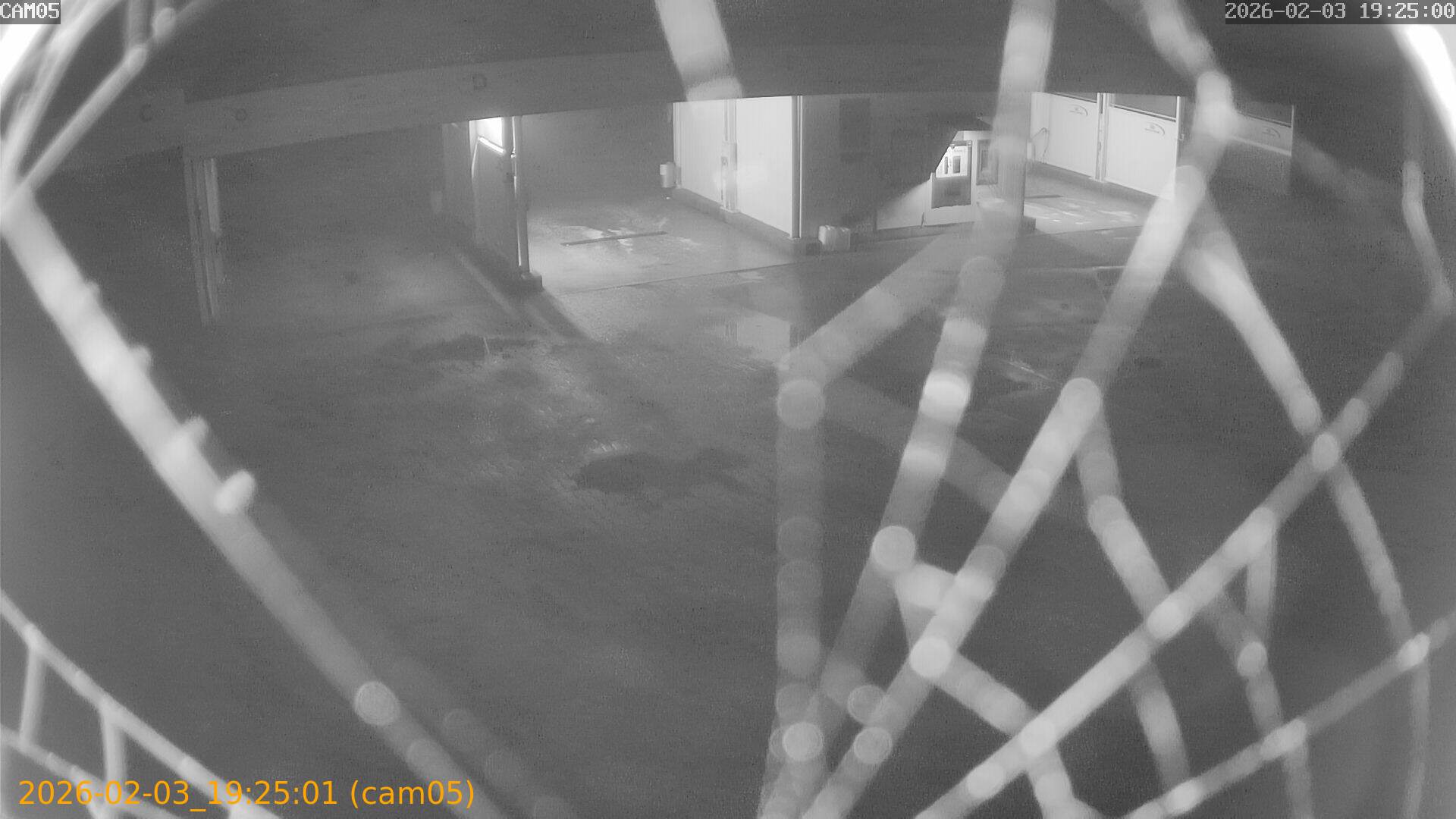 thumbnail_20260203192501