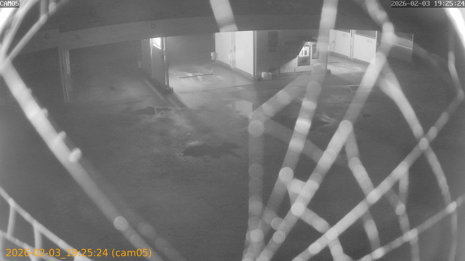 thumbnail_20260203192524