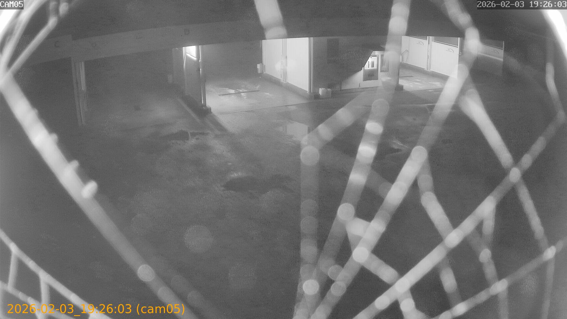 thumbnail_20260203192603