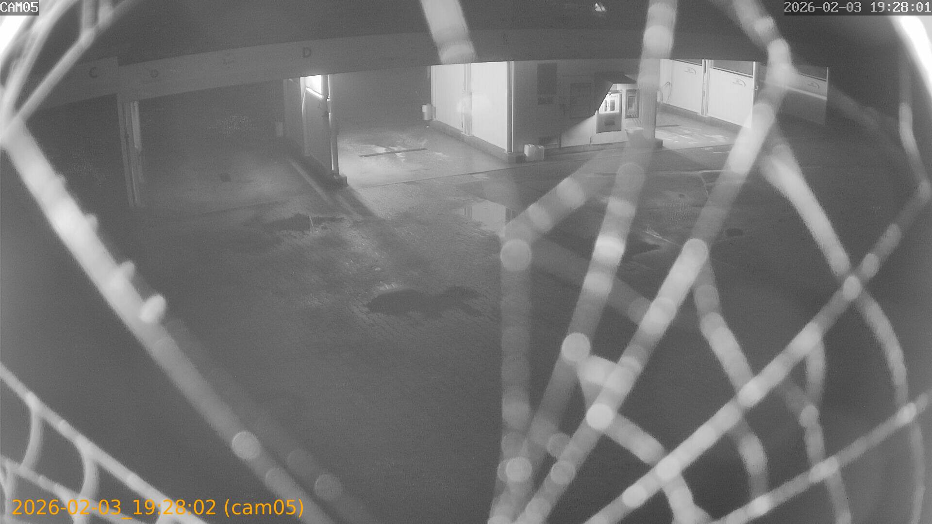 thumbnail_20260203192802