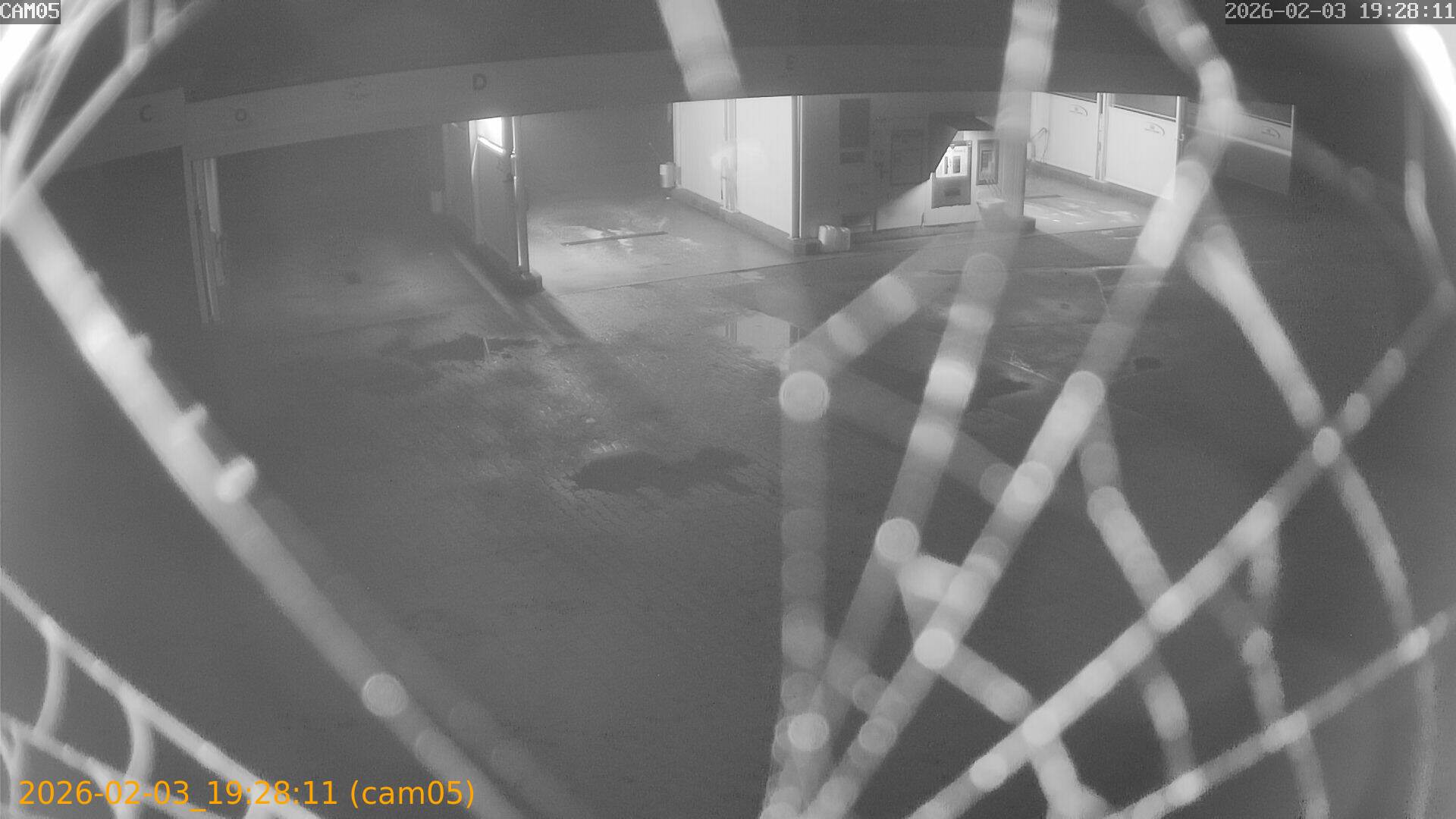 thumbnail_20260203192811