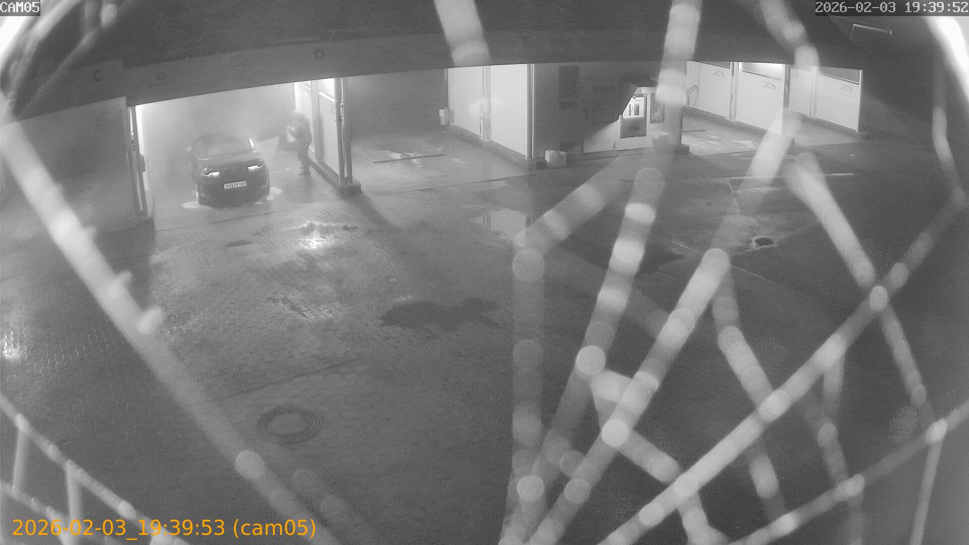 thumbnail_20260203193953