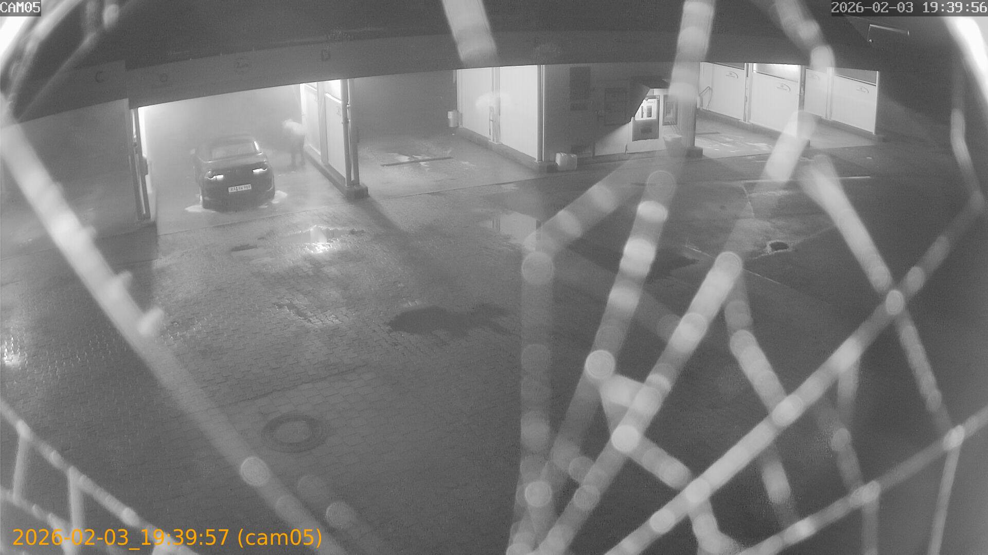 thumbnail_20260203193957