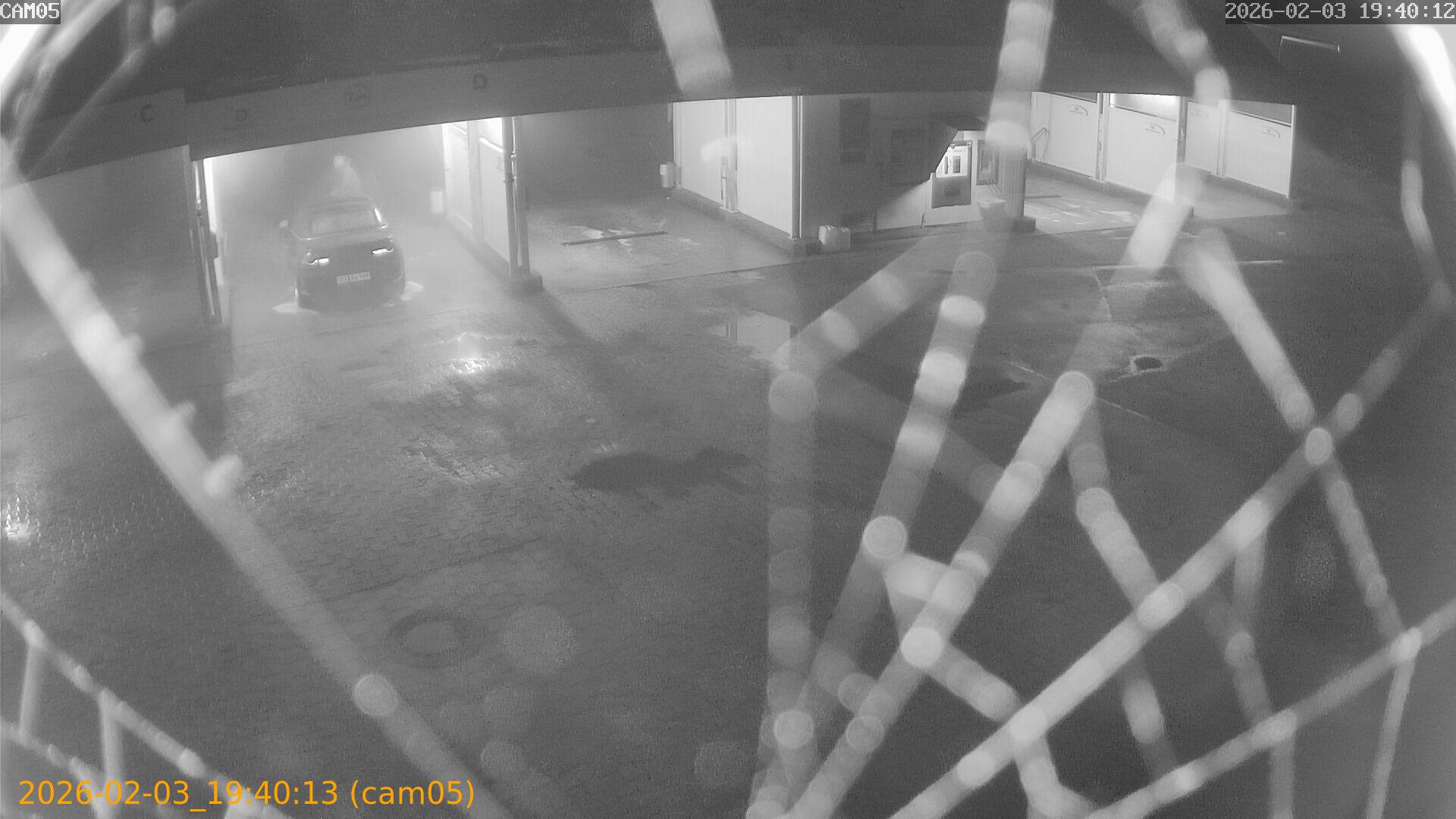 thumbnail_20260203194013