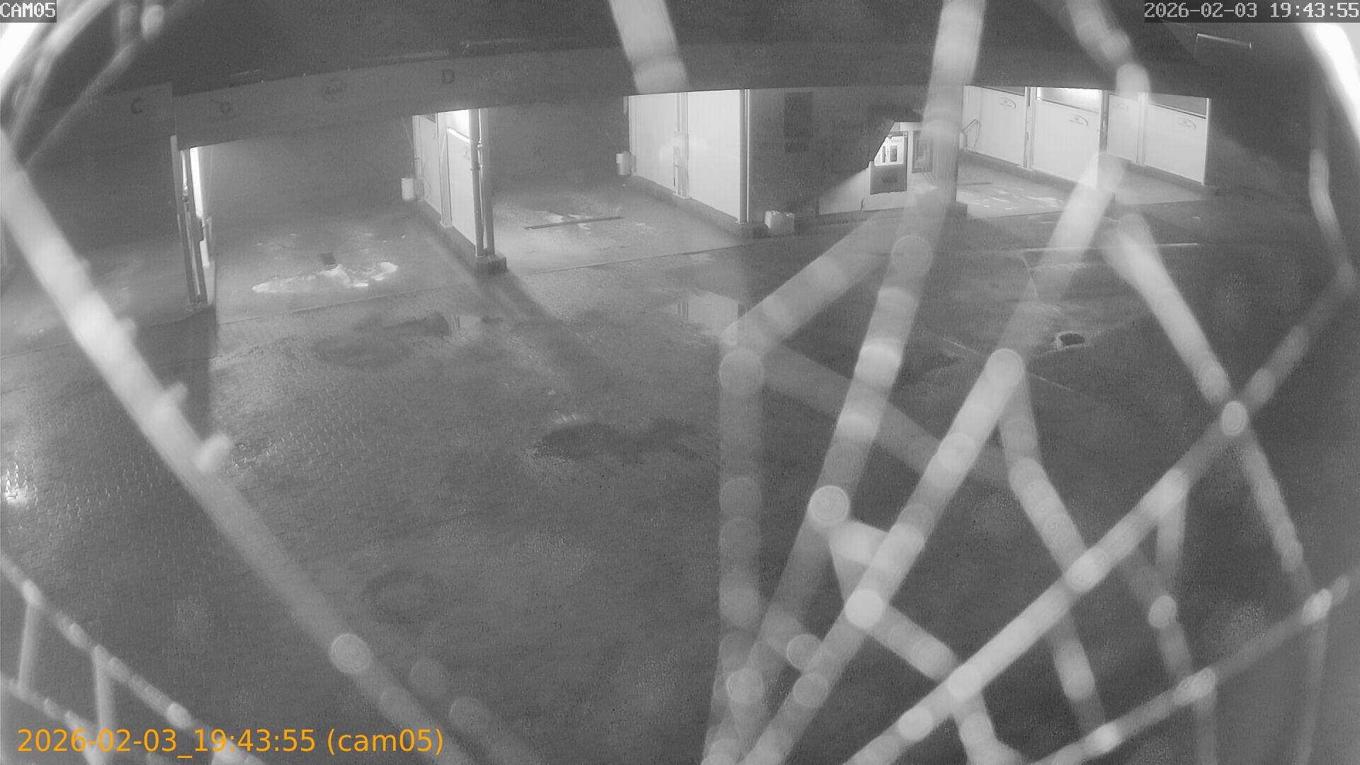 thumbnail_20260203194355