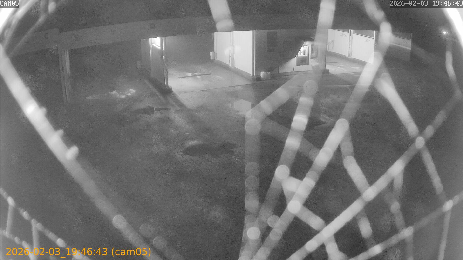 thumbnail_20260203194643