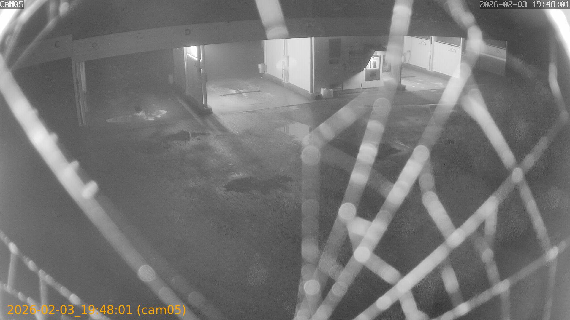 thumbnail_20260203194801