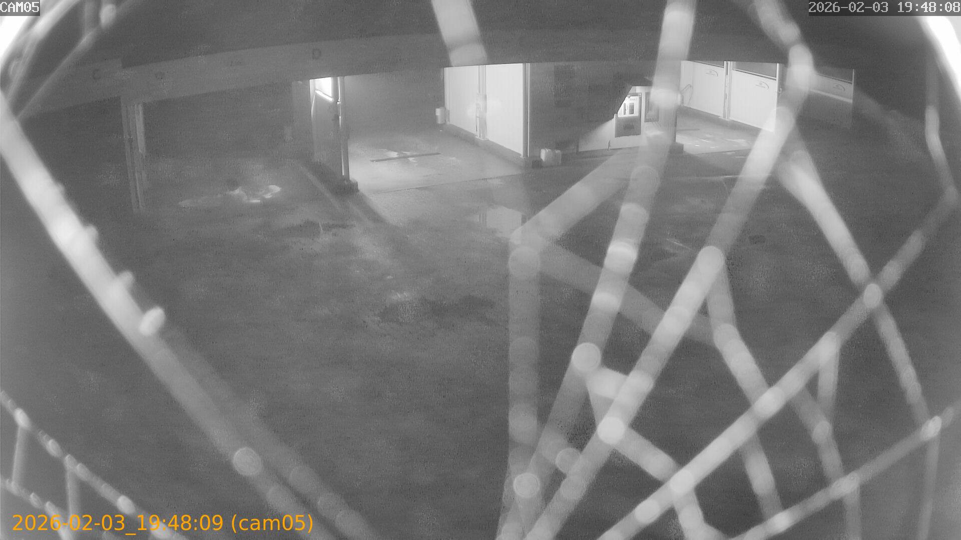 thumbnail_20260203194809