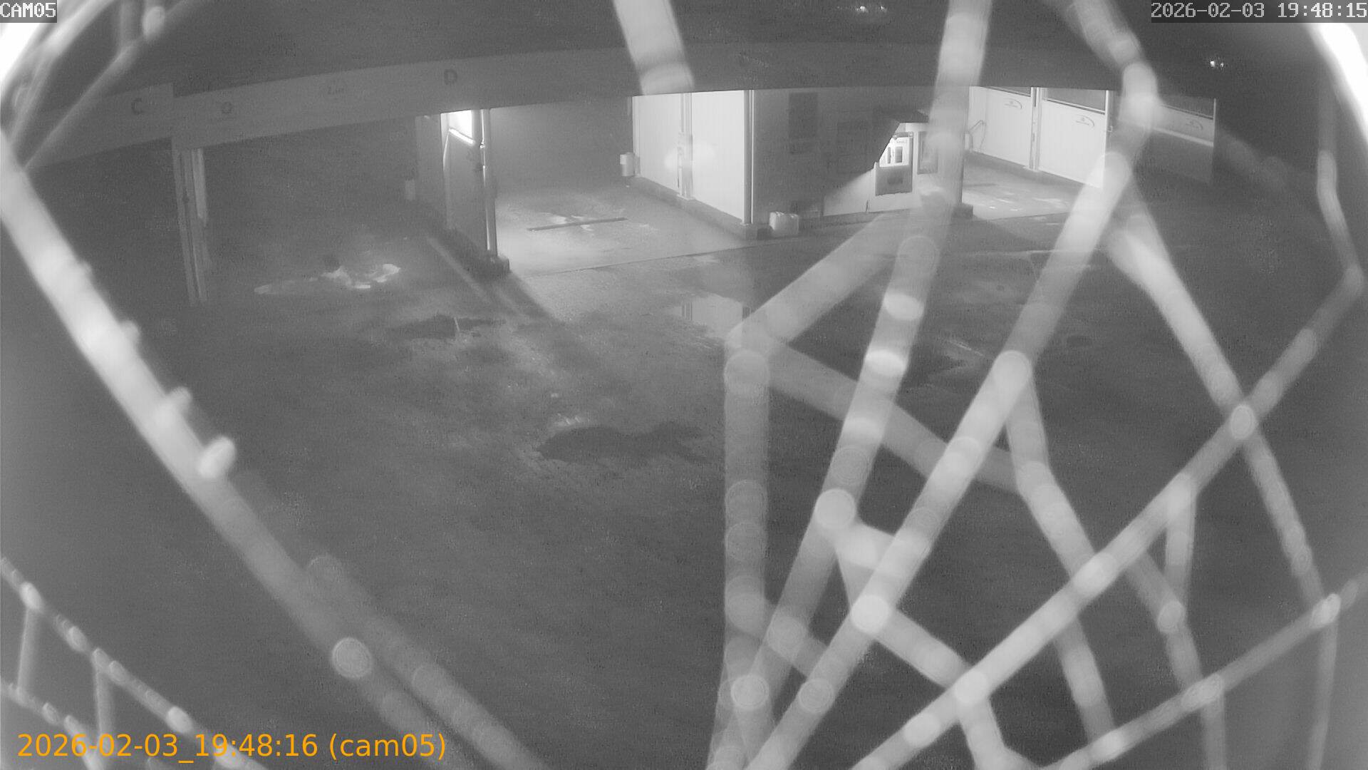 thumbnail_20260203194816