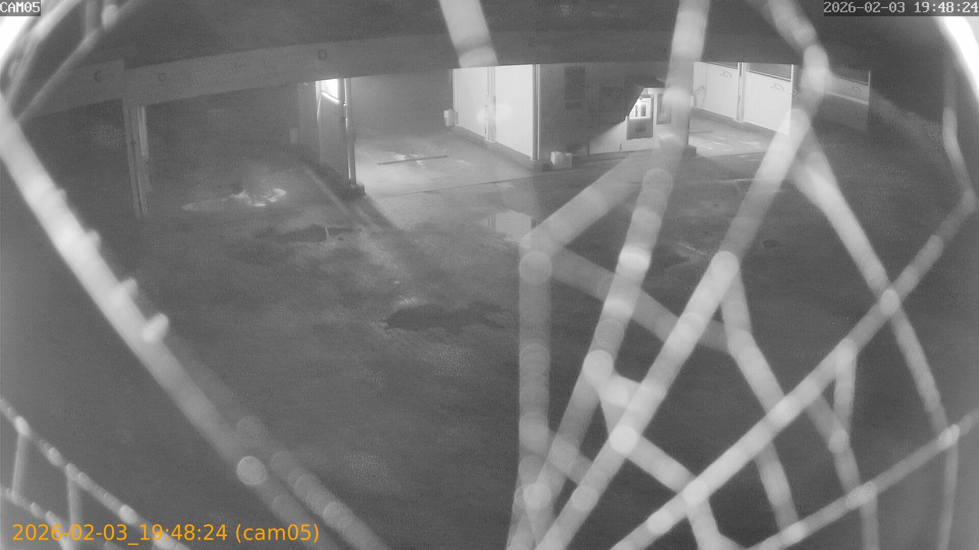 thumbnail_20260203194824