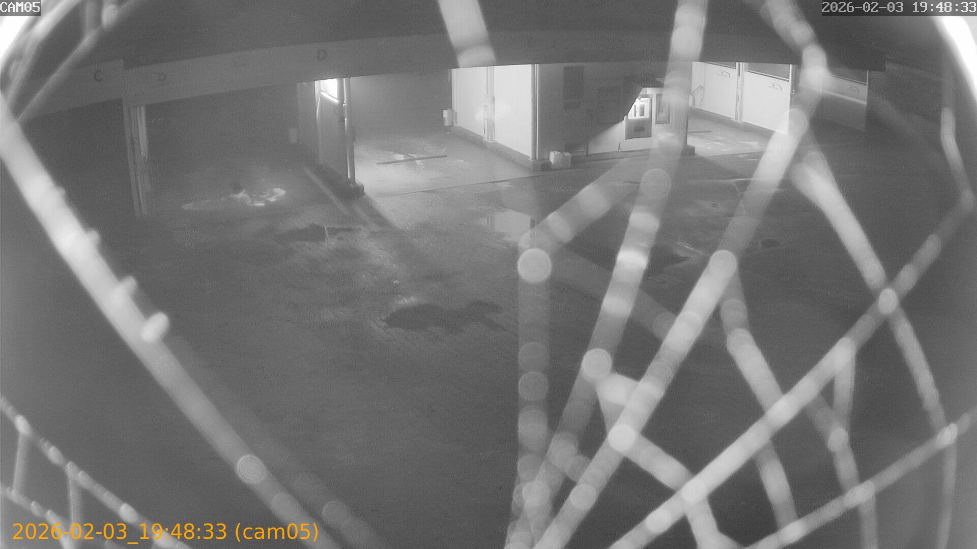 thumbnail_20260203194833