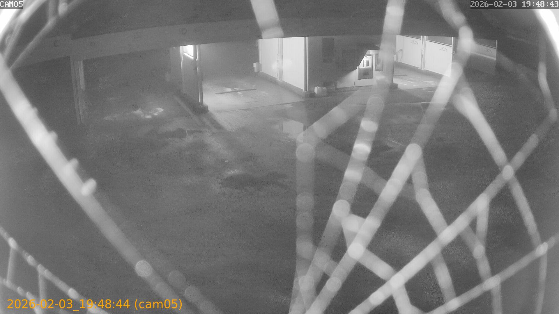 thumbnail_20260203194844