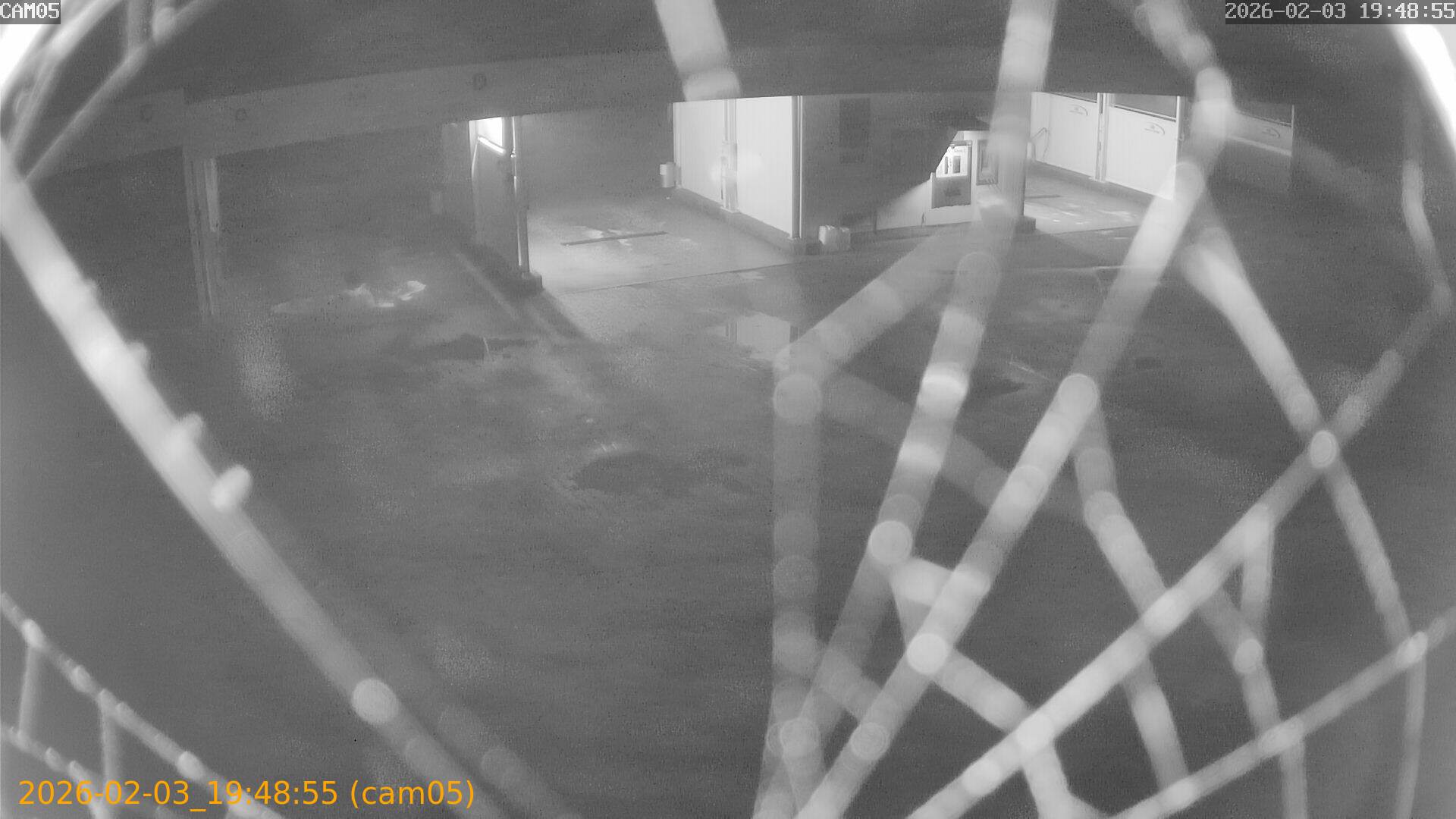 thumbnail_20260203194855