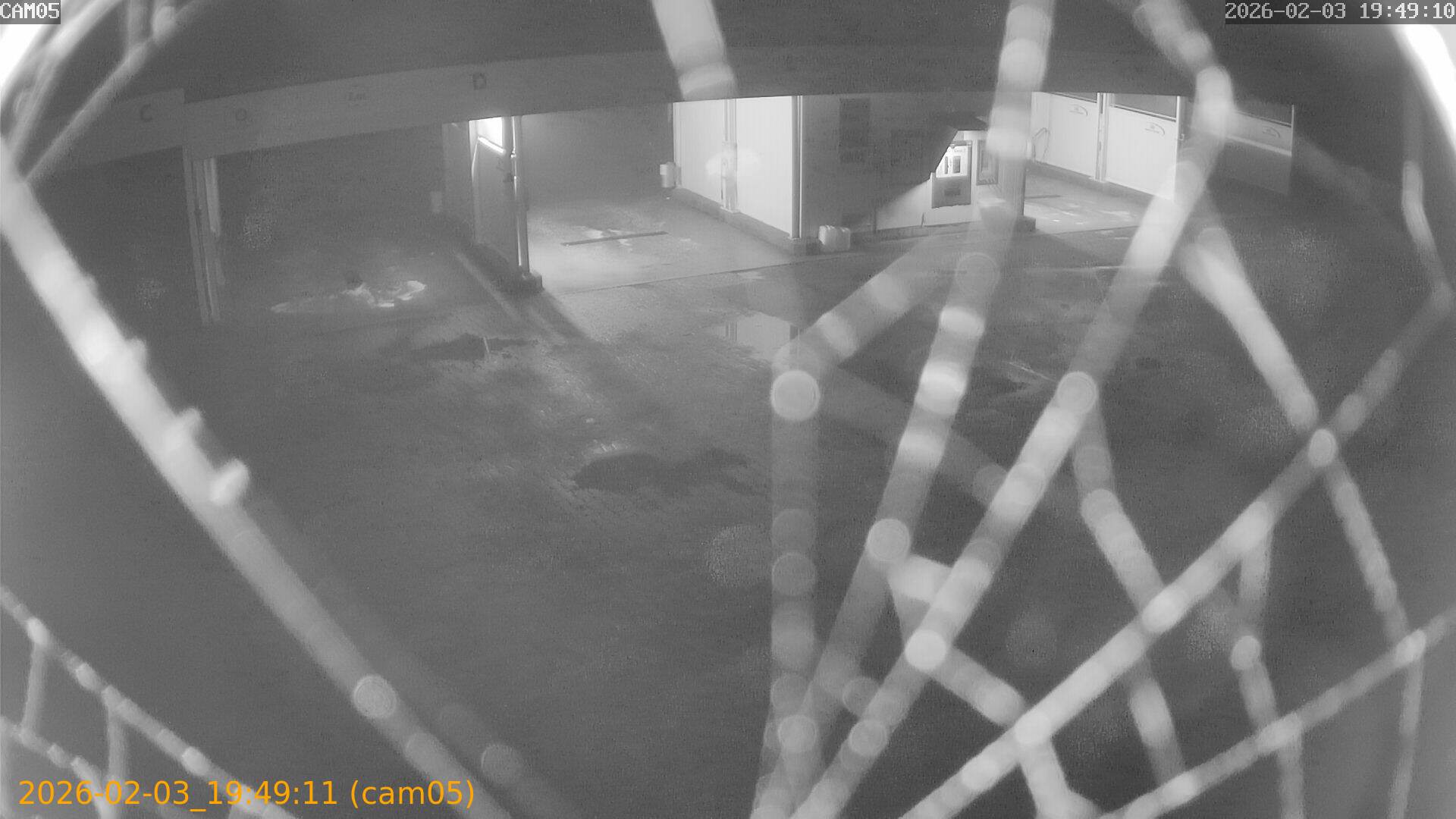 thumbnail_20260203194911