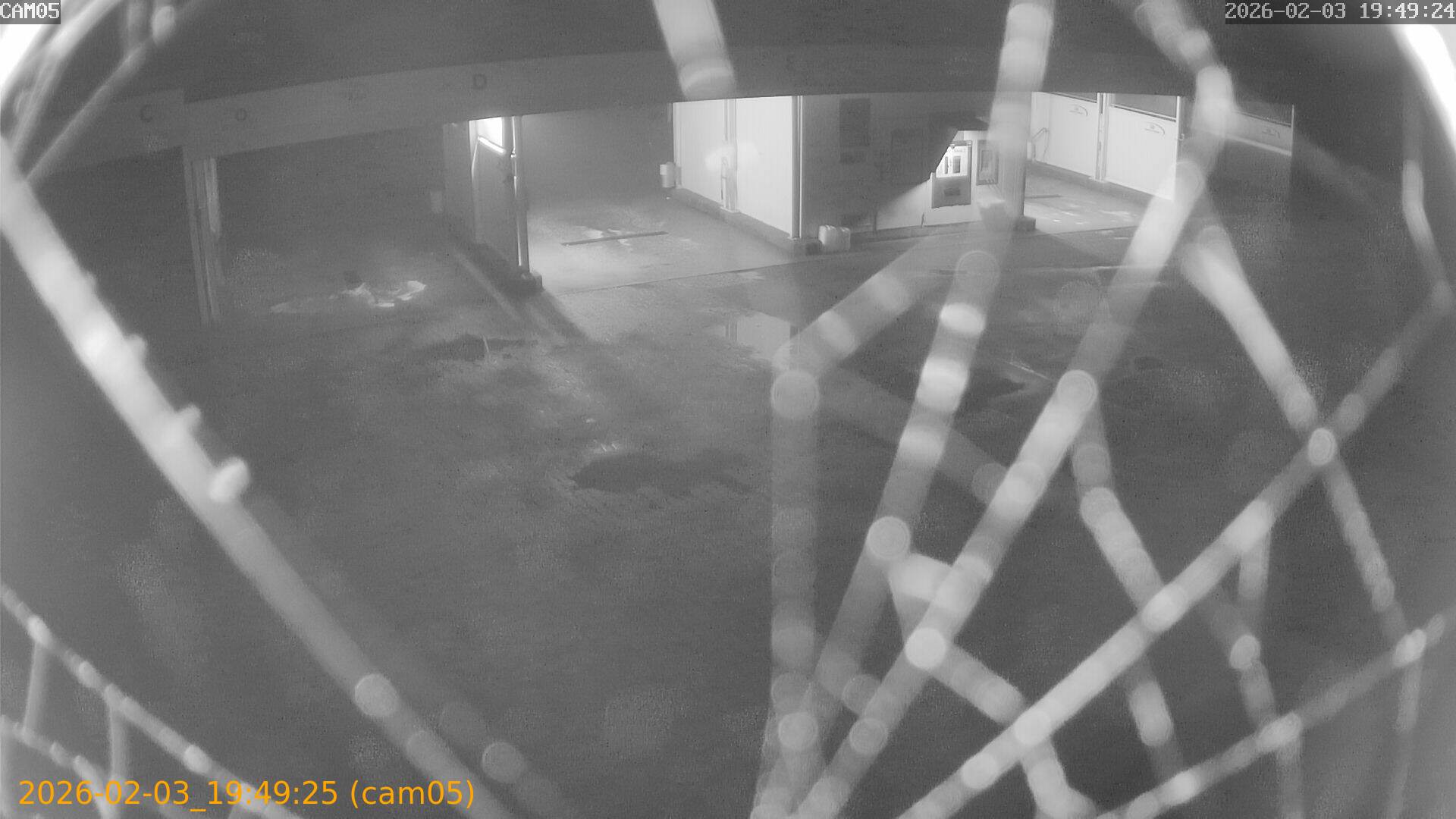 thumbnail_20260203194925