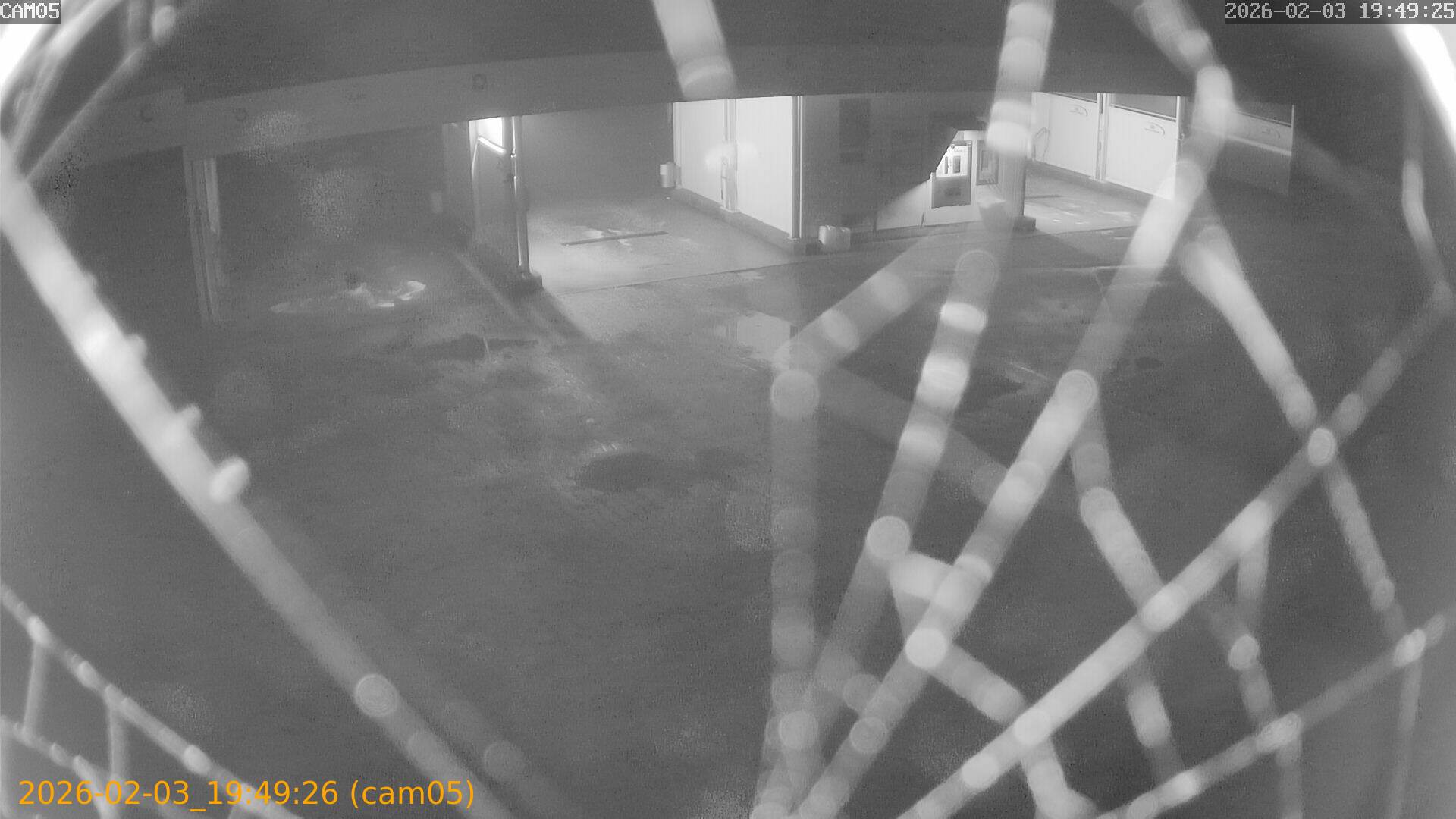 thumbnail_20260203194926