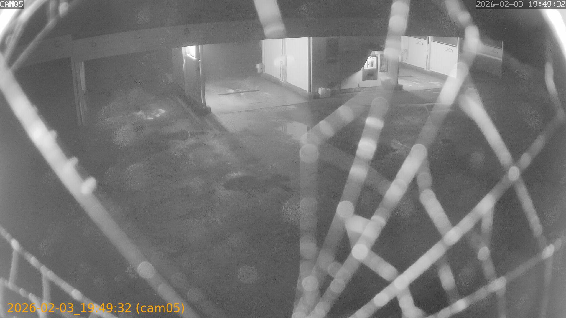 thumbnail_20260203194932