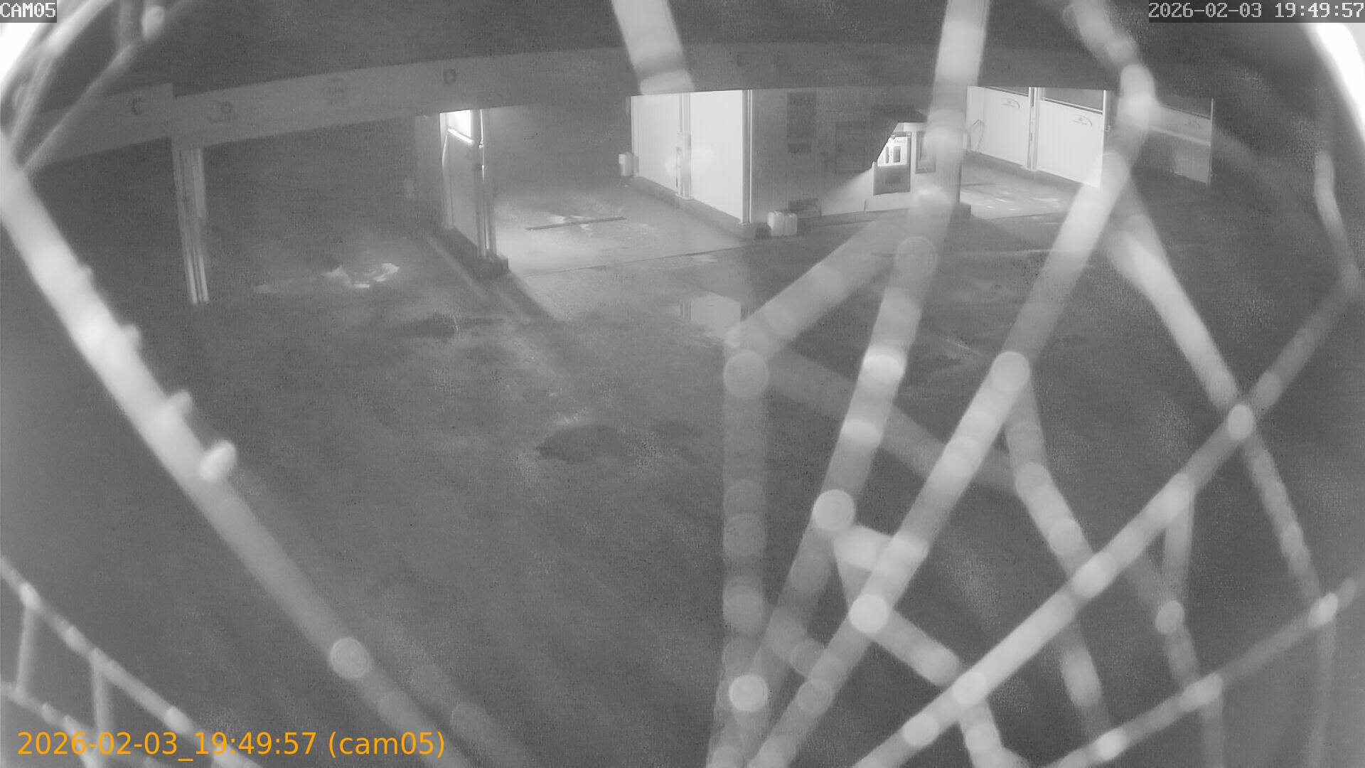 thumbnail_20260203194957