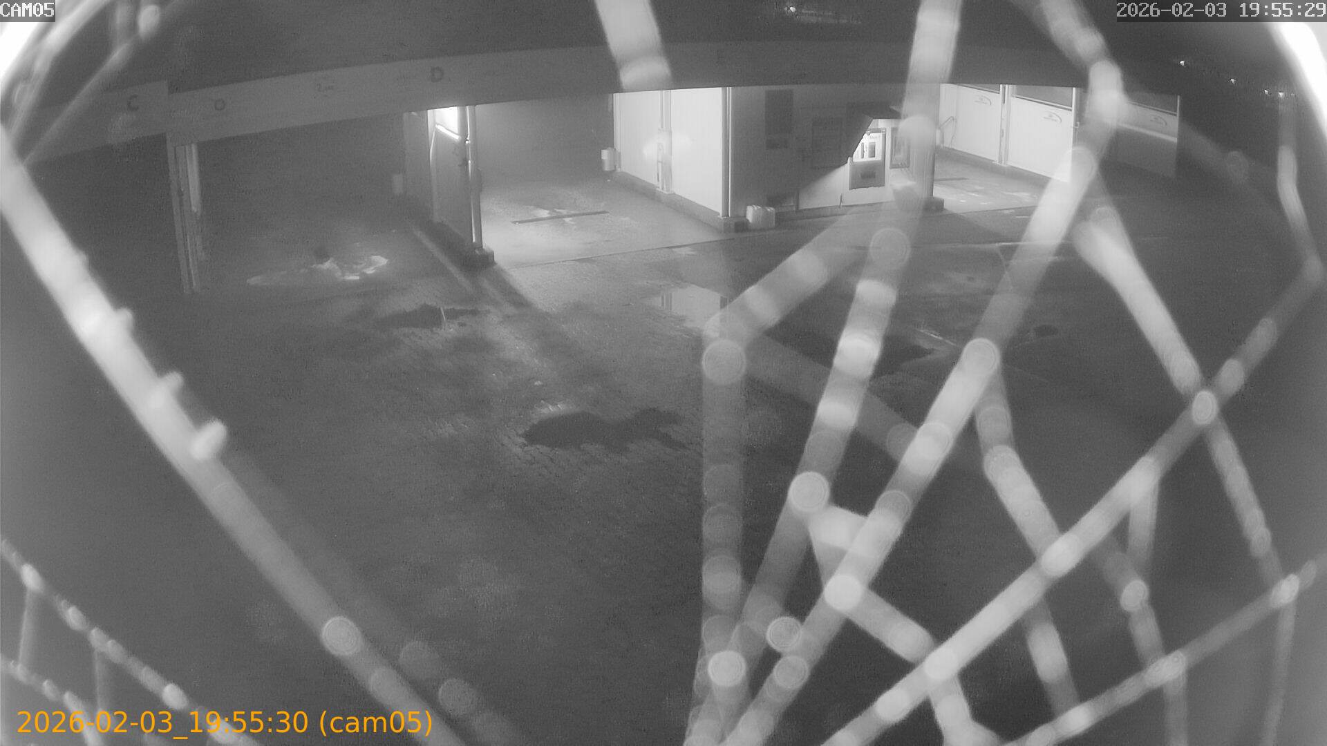 thumbnail_20260203195530