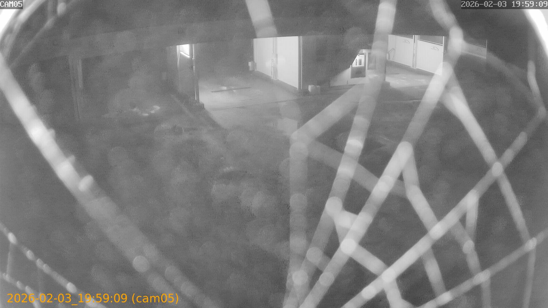 thumbnail_20260203195909