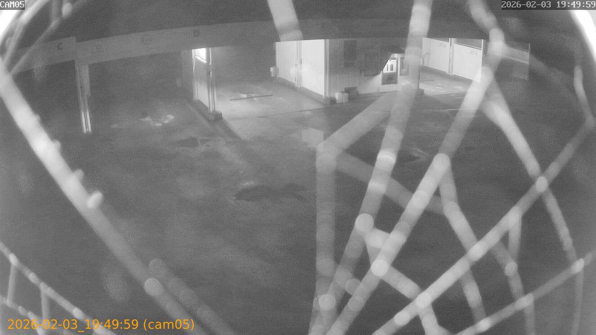 thumbnail_202602031949