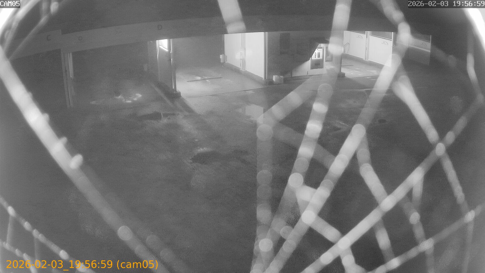 thumbnail_202602031956